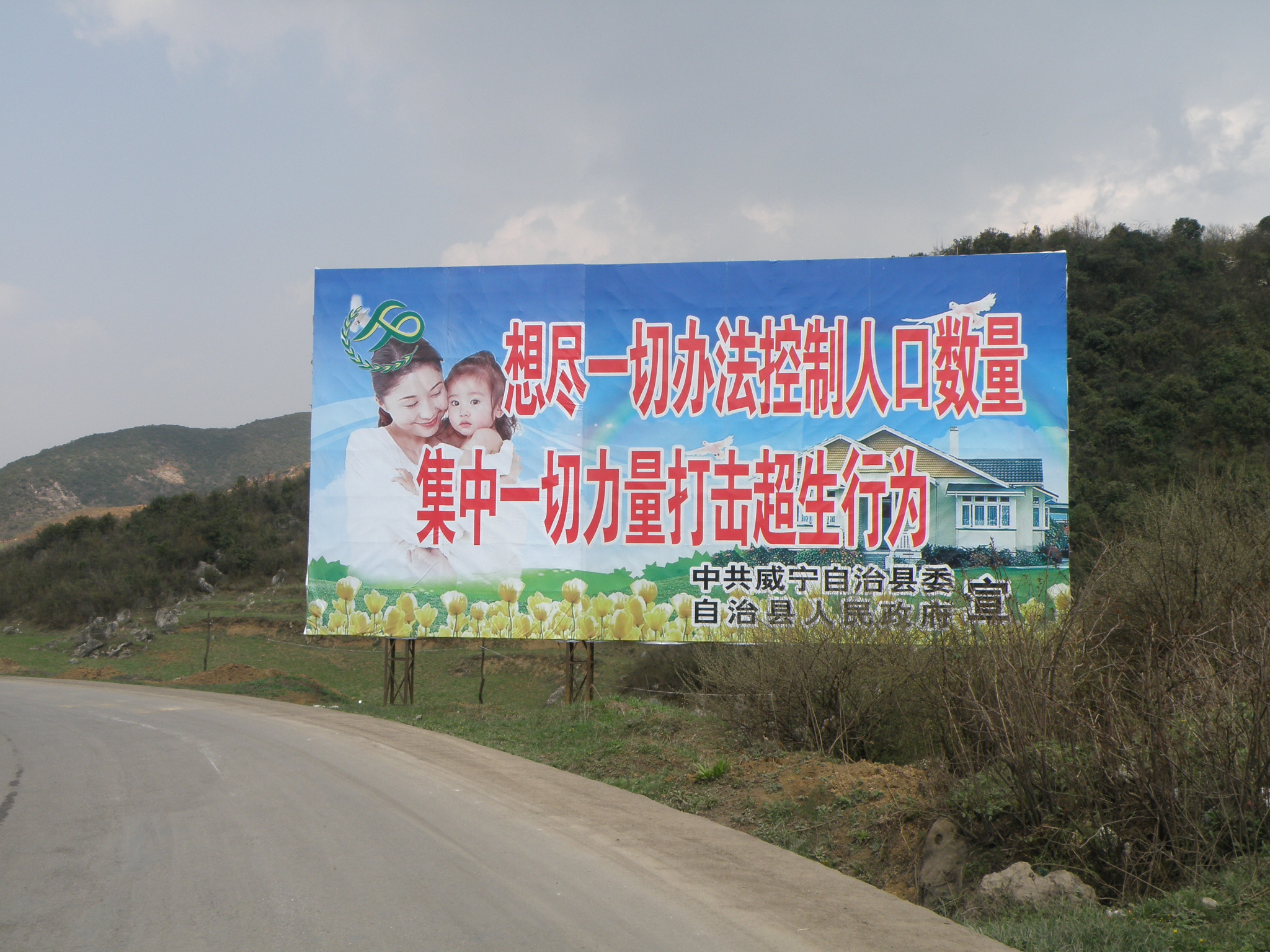 Hubei Forced Abortion Case in 2010